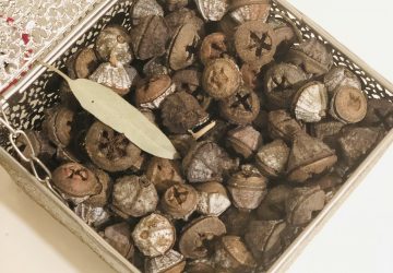 Pero… ¿esto es tóxico?