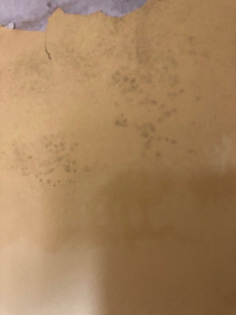 detalles moho antes aceite esenciales