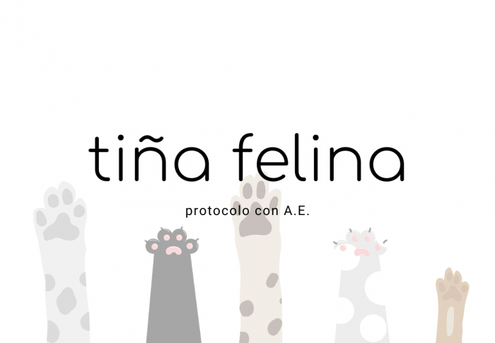 Tiña felina con Aceites Esenciales