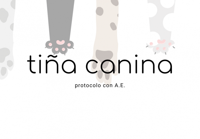 Tiña canina con Aceites Esenciales